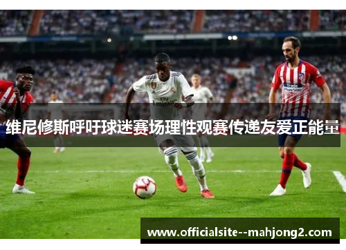 维尼修斯呼吁球迷赛场理性观赛传递友爱正能量